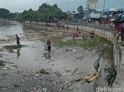 Warga Tangerang Berburu Ikan Sekarat di Tepi Sungai Cisadane