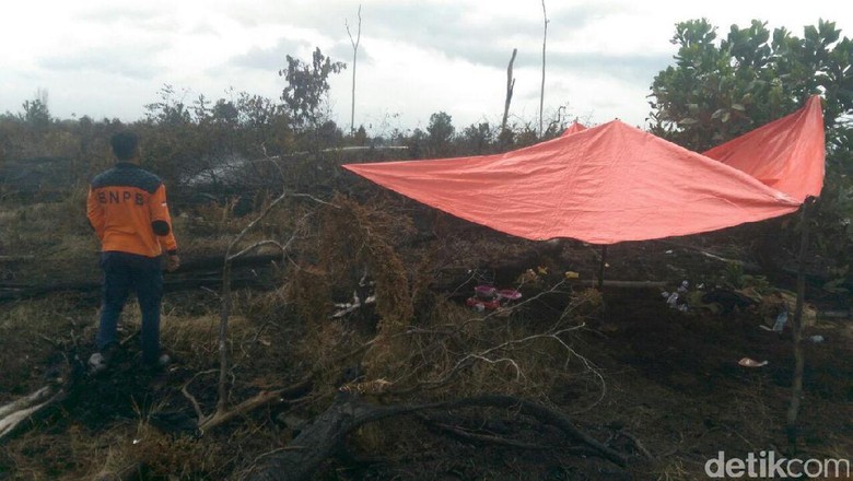 Ratusan Hektare Lahan Terbakar, Pemprov Riau Tetapkan Siaga Darurat