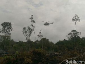 Polda Riau Tetapkan 2 Tersangka Baru Kasus Karhutla