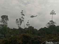 Sebaran Titik Panas Karhutla di Riau Naik Lebih 300 Persen