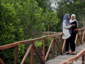 Wisata Hutan Mangrove Pal Jaya