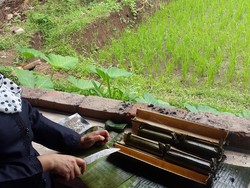 Begini Caranya Bikin Nasi Lemeng Khas Desa Banjar Banyuwangi yang Kaya Rempah