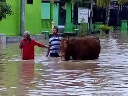 Banjir Rendam 3 Desa di Blitar, Warga Pilih Ungsikan Hewan Ternak