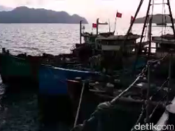 TNI AL Tangkap 5 Kapal Ikan Asing Asal Vietnam di Perairan Kepri