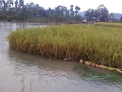 Derita Pelanggan Banjir di Blitar dan Janji Bupati Rijanto