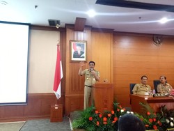 Wagub Djarot Minta Wali Kota Jaksel Segera Normalisasi Kali Krukut
