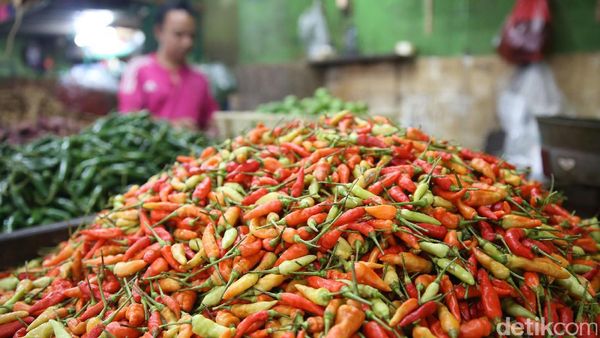 Harga Rawit Masih Selangit