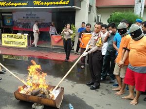 Polres Metro Tangerang Musnahkan Ganja Senilai Rp 70 Juta Polres Metro Tangerang Musnahkan Ganja Senilai Rp 70 Juta