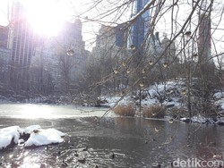 Foto: Cantiknya Pemandangan Central Park New York Kala Bersalju