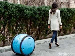 Gita dan Kilo, Robot Buatan Piaggio
