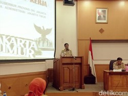 Wagub Djarot: Normalisasi Sungai di Jakarta Timur Kami Sempurnakan