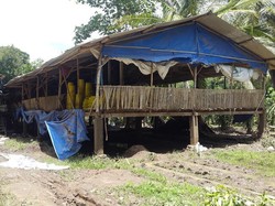 Cerita Warga Banyuwangi Tentang Banjir Setinggi 4 Meter di Desanya