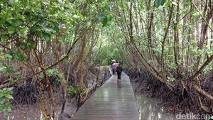 Foto: Long Weekend Idul Adha Anti Mainstream di Bali
