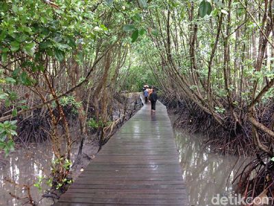 Foto: Long Weekend Idul Adha Anti Mainstream di Bali