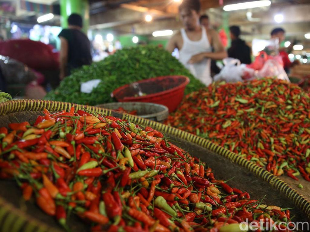 Harga Cabai hingga Tomat Naik Jelang Tahun Baru 2020 Harga Cabai hingga Tomat Naik Jelang Tahun Baru 2020