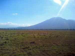 Taman Nasional Baluran, Afrika dari Jawa Timur