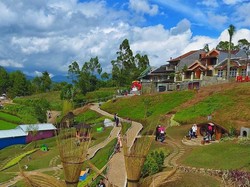 Gemas! Ini Wisata Kelinci dan Rumah Hobbit di Malang