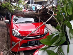 Pohon Tumbang Timpa Mobil di Sawah Besar Jakarta Pusat