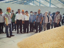 Mentan dan GPMT Sepakat Tidak Impor Jagung Tahun Ini