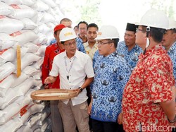 Bupati Banyuwangi: Stok Beras Bulog Aman Hingga 17 Bulan ke Depan