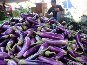 3 Manfaat Terong untuk Sarapan Pagi Ini