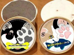 Berani Coba Es Krim Rasa Cakar Kucing dan Anjing dari Jepang?