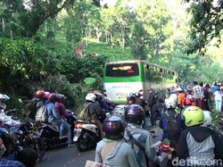 Polisi dan Perhutani KPH Banyuwangi Inventarisir Pohon Rawan Tumbang