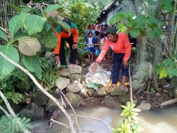 Mayat Bayi Perempuan Ditemukan Petani Mengambang di Sungai
