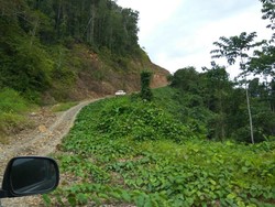 Tembus Gunung dan Hutan, Ini Jalan Trans Papua Sorong-Manokwari