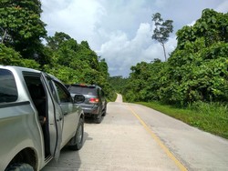 Wisata Digital ala Warga Kota Jayapura