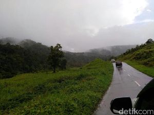 Jokowi Gencar Garap Proyek Jalan Trans Papua, Ini Alasannya