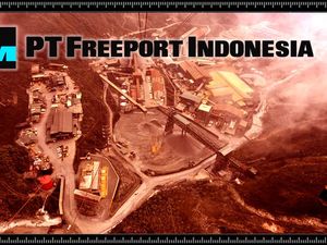 Kontrak Karya dan IUPK Jadi Akar Masalah Freeport, Apa Bedanya?
