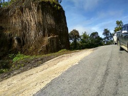 Dulu ke Kota Butuh 2-3 Hari, Ada Trans Papua Hanya 3 Jam Naik Mobil