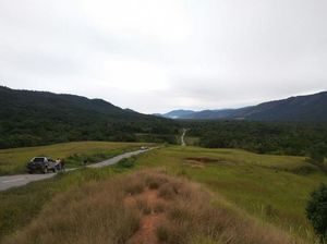 Menyelusuri Jalan Trans Papua