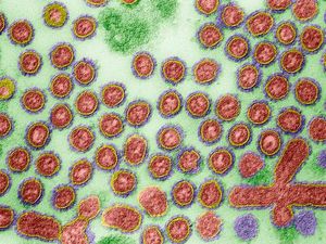 Indonesia Harus Siap dan Sigap Menghadapi Pandemi Influenza Baru