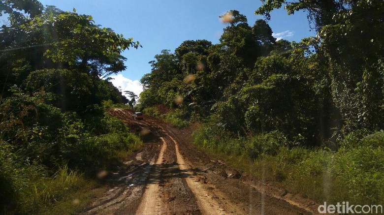 Jokowi Bakal Jajal Trans Papua Pakai Motor Off-Road Jokowi Bakal Jajal Trans Papua Pakai Motor Off-Road