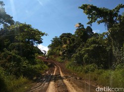 Jokowi Bakal Jajal Trans Papua Pakai Motor Off-Road