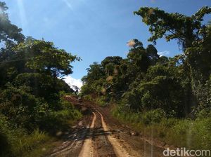 Jokowi Bakal Jajal Trans Papua Pakai Motor Off-Road Jokowi Bakal Jajal Trans Papua Pakai Motor Off-Road