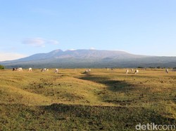 Desa di Sumbawa yang Pemandangannya Indah Sekali!