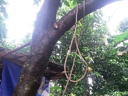 Pria di Tangerang Ditemukan Tewas Gantung Diri di Pohon Belimbing