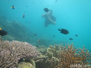 Mari Kita ke Karimunjawa