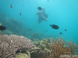 Listrik Nyala 24 Jam, Karimunjawa Kebanjiran Wisatawan