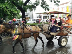 Tips Pergi Traveling Saat Rawan Banjir