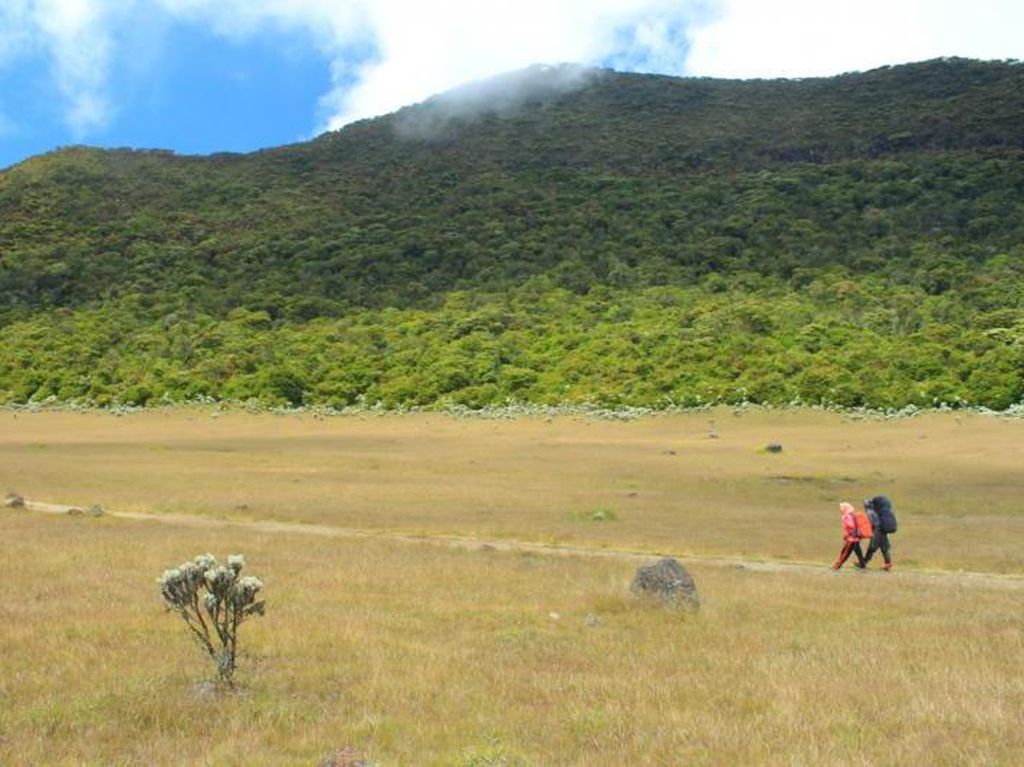 Ada Pendaki Bugil, TN Gunung Gede Pangrango Lapor Polisi Ada Pendaki Bugil, TN Gunung Gede Pangrango Lapor Polisi