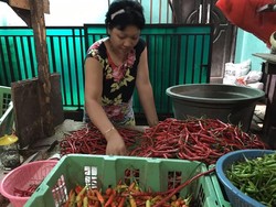 Harga Cabai Rawit Merah Rp 150.000/Kg, Apakah Petani Untung?