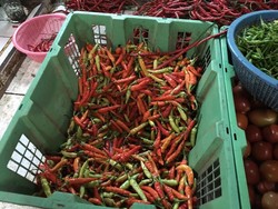 Cegah Permainan Harga Cabai, Gerak-gerik Pengepul Diawasi Ketat