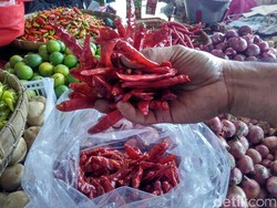 Cabai China Masuk Blitar Sampai Trenggalek, Ini Kata Pemprov Jatim