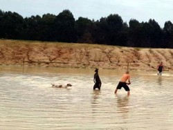 Bunuh Kanguru, Pria di Australia Barat Dibui