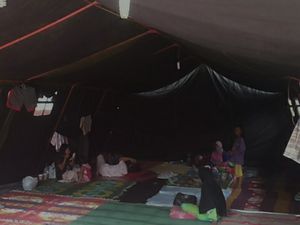 Pemprov DKI Siapkan Pengungsian Protap COVID untuk Hadapi Hujan Ekstrem Pemprov DKI Siapkan Pengungsian Protap COVID untuk Hadapi Hujan Ekstrem