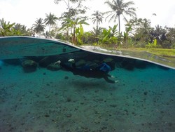 Siapa yang Tidak Tergoda, Melihat Kolam Sejernih Ini di Magelang